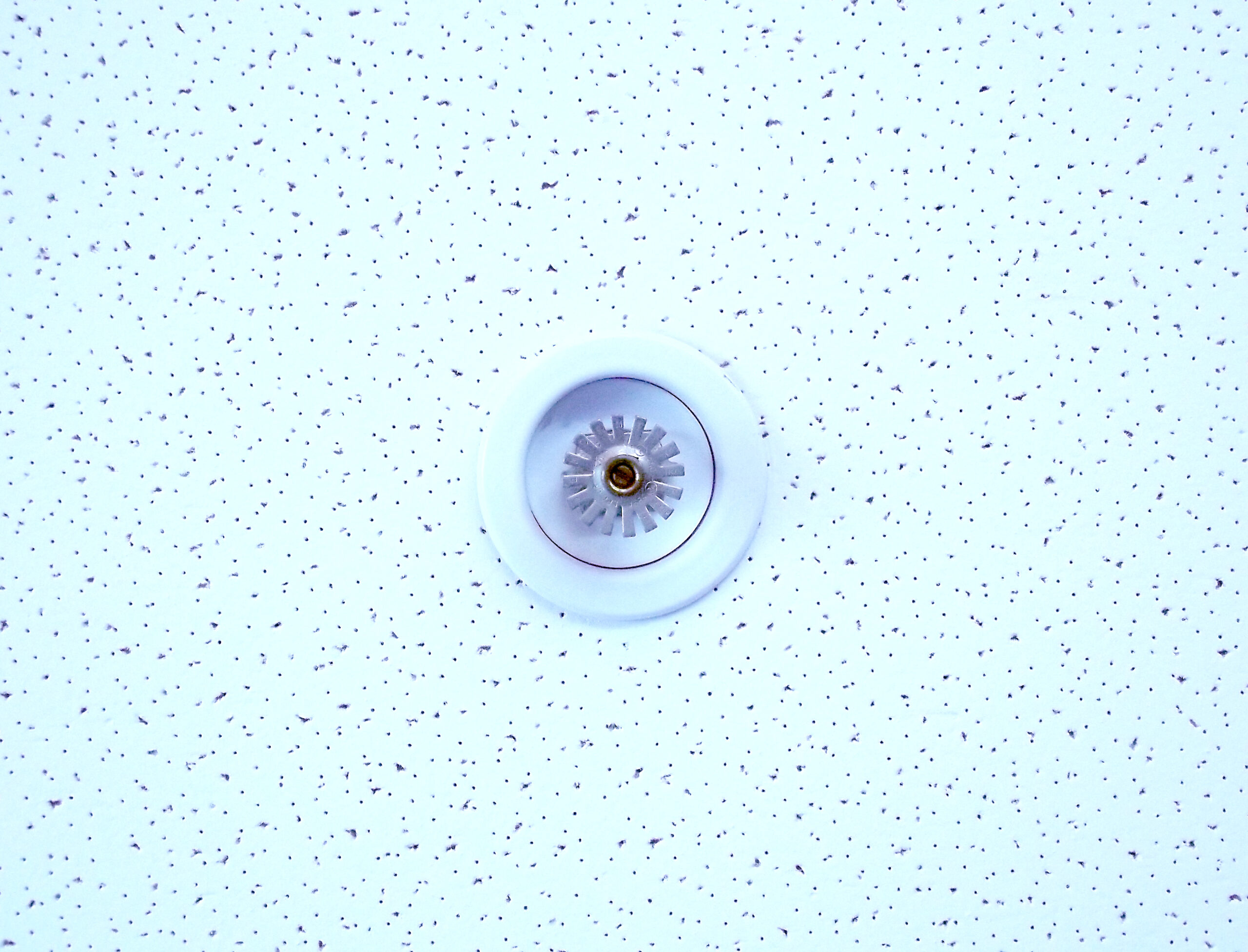 image taken from ground of a fire sprinkler